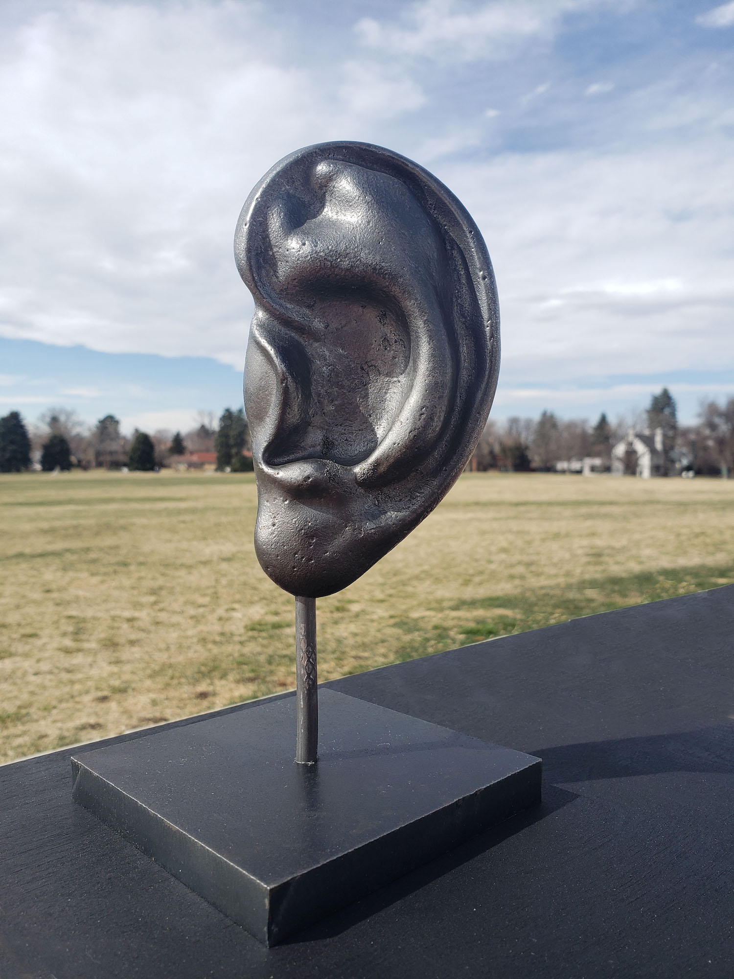 Art You Listening, Laura Phelps Rogers, dimesions variable, shown as cast iron available in aluminum and bronze, 2022 - 20220327_150643
